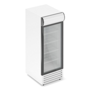 Холодильный шкаф Фростор RV 300 GL-pro